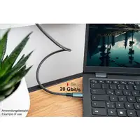Alcasa Kabel / Adapter cable USB USB4 Gen 2x2 1 m USB C Gris
