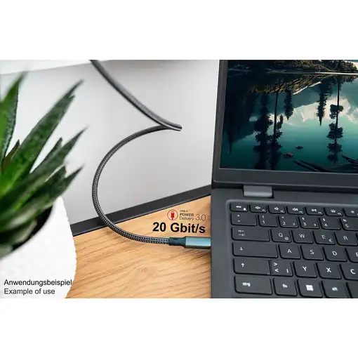 Alcasa Kabel / Adapter cable USB USB4 Gen 2x2 1 m USB C Gris