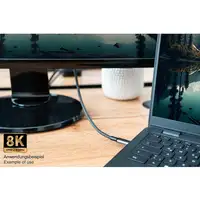 Alcasa Kabel / Adapter cable USB USB4 Gen 2x2 1 m USB C Gris