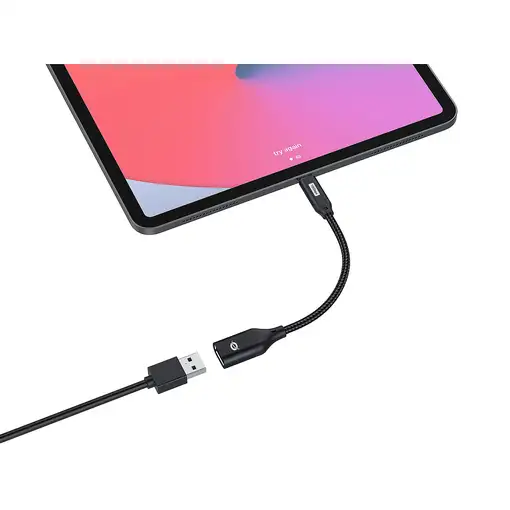 Conceptronic ABBY18B cambiador de género para cable USB-C USB-A Negro