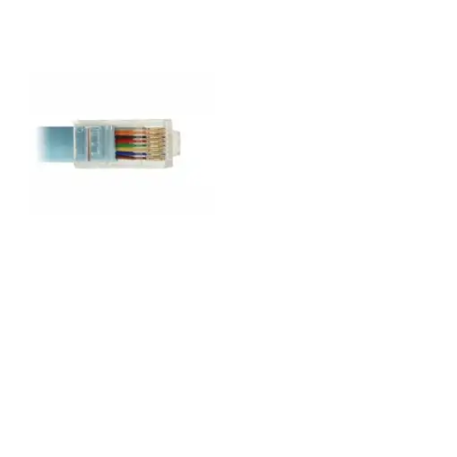 DeLOCK 63289 tarjeta y adaptador de interfaz RJ-45