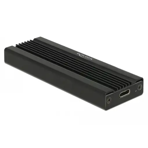 DeLOCK 42600 tarjeta y adaptador de interfaz USB 3.2 Gen 1 (3.1 Gen 1)