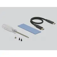 DeLOCK 42600 tarjeta y adaptador de interfaz USB 3.2 Gen 1 (3.1 Gen 1)