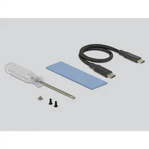 DeLOCK 42600 tarjeta y adaptador de interfaz USB 3.2 Gen 1 (3.1 Gen 1)