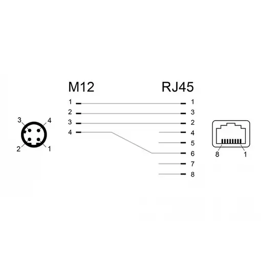 DeLOCK 66313 cambiador de género para cable M12 RJ45 Negro