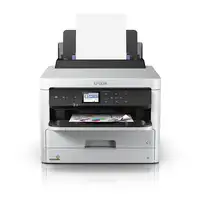 Epson DURABrite Pro