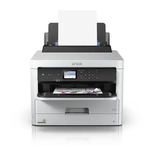 Epson DURABrite Pro
