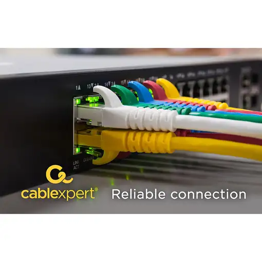 Gembird PP6-3M cable de red Gris Cat6