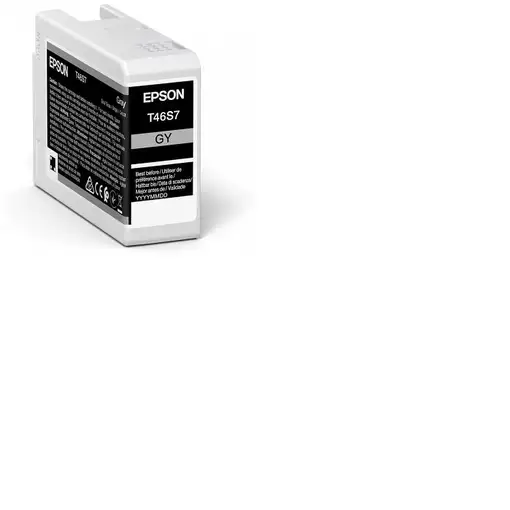 Epson UltraChrome Pro cartucho de tinta 1 pieza(s) Original Gris