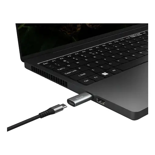 Trust Calyx USB Type-C USB Type-A Gris