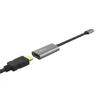 Trust Dalyx Adaptador gráfico USB Gris