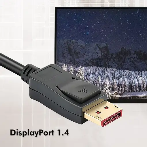 Techly ICOC DSP-A14-030NT cable DisplayPort 3 m Negro