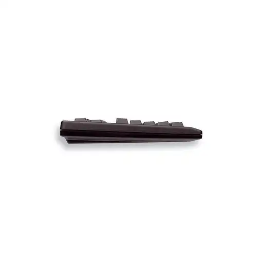 CHERRY TouchBoard G80-11900 teclado Universal USB QWERTY Inglés de EE. UU. Negro