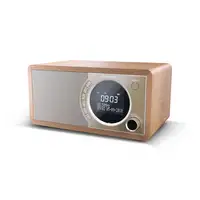 Sharp DR-450 Personal Digital Marrón, Acero inoxidable