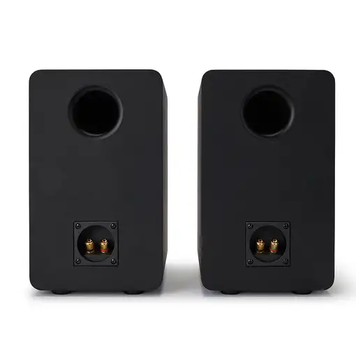Reflexion SP-A100 altavoz Negro Alámbrico 140 W