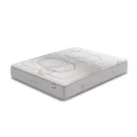 Colchón Flex WBx 300 Visco 20 90X200
