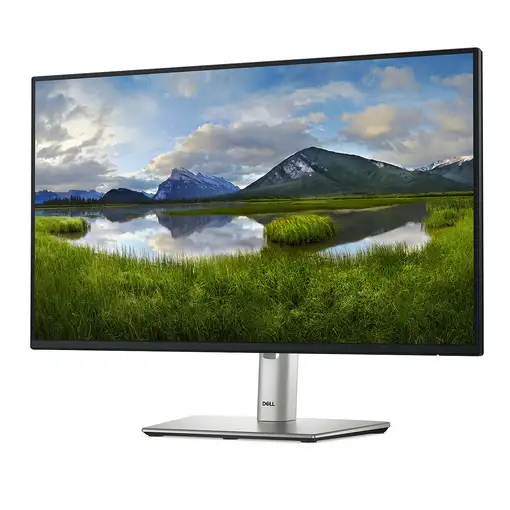 DELL P Series P2425H pantalla para PC 60,5 cm (23.8") 1920 x 1080 Pixeles Full HD