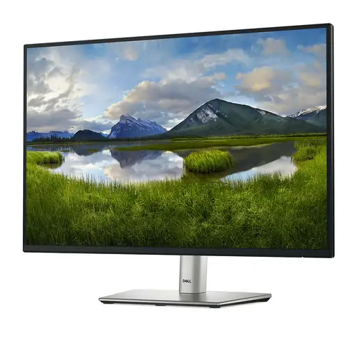 DELL P Series P2425 pantalla para PC 61,1 cm (24.1") 1920 x 1200 Pixeles WUXGA LCD