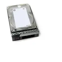 DELL 161-BCJX disco duro interno 12 TB 7200 RPM 3.5" NL-SAS