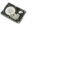 DELL 400-AUPW disco duro interno 1 TB 7200 RPM 3.5" Serial ATA III