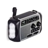 Trevi RA 7F30 BT Portátil Analógica Negro, Gris