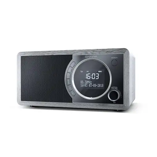 Sharp DR-450 Personal Digital Gris, Acero inoxidable