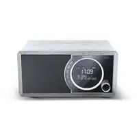 Sharp DR-450 Personal Digital Gris, Acero inoxidable