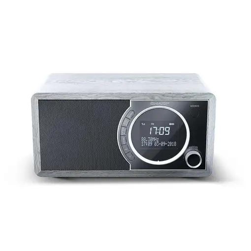 Sharp DR-450 Personal Digital Gris, Acero inoxidable