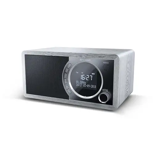 Sharp DR-450 Personal Digital Gris, Acero inoxidable