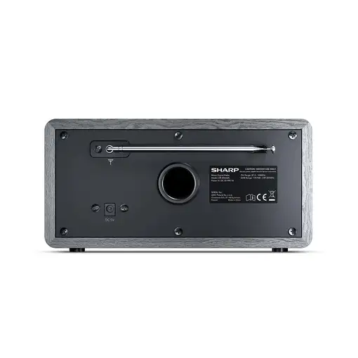 Sharp DR-450 Personal Digital Gris, Acero inoxidable