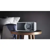 Sharp DR-450 Personal Digital Gris, Acero inoxidable