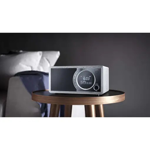 Sharp DR-450 Personal Digital Gris, Acero inoxidable