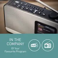 Panasonic RF-D15 Portátil Digital Negro, Plata