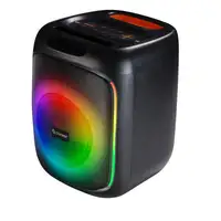 Denver BPS-165 Altavoz para fiestas Negro 20 W