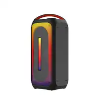 New Majestic Flame 66 Pro Altavoz portátil estéreo Negro 60 W