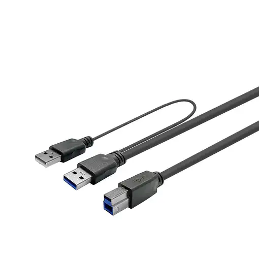 Vivolink PROUSB3AB10C-DUAL cable USB