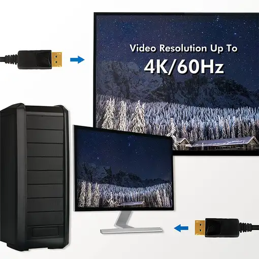 LogiLink CD0101 cable DisplayPort 2 m Negro