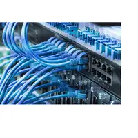 Phasak Cable de Red Cat.6 UTP Solido CCA Cat.6 UTP Negro 5M