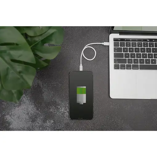 Digitus Cable de datos/carga Lightning a USB-C, certificación MFI