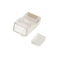 Extralink RJ45 Conector CAT6 UTP RJ45 8P8C