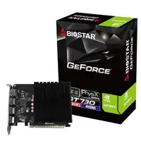 Biostar VN7313TG46 tarjeta gráfica NVIDIA GeForce GT 730 4 GB GDDR3