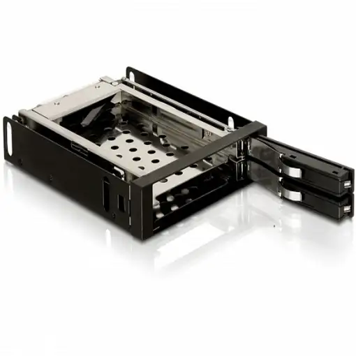 DeLOCK 3.5" Mobile Rack Negro