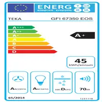 Teka GFI 67350 EOS SS De pared Acero inoxidable A+ 629 m³/h