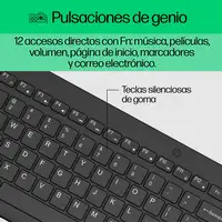 HP Combinación de teclado y ratón inalámbricos 330