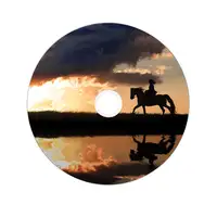 Verbatim 43667 DVD en blanco 8,5 GB DVD+R DL 25 pieza(s)