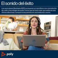 POLY Auriculares estéreo Blackwire 8225 USB-C + Adaptador USB-C/A