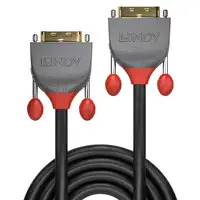 Lindy 36222 cable DVI 2 m DVI-D Negro