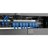Tripp Lite N204-003-BL-DN Cable Ethernet (UTP) Patch Moldeado Cat6 Gigabit en Ángu