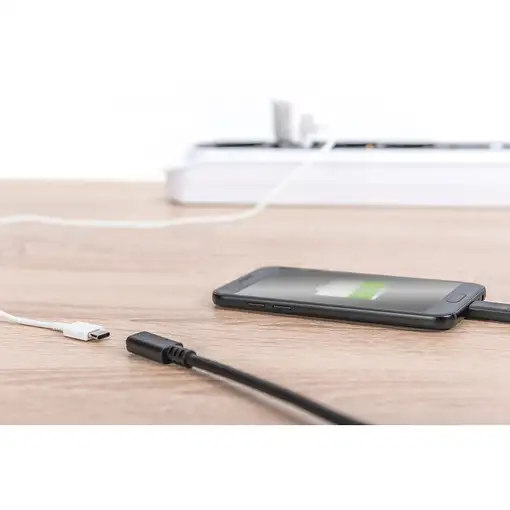 Digitus Cable alargador USB Type-C Gen2, Type-C a C