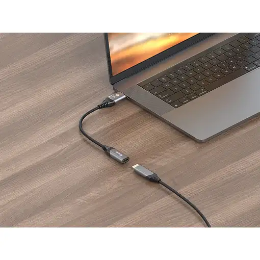 Equip Adaptador DisplayPort 1.4 a HDMI, 8K/60Hz